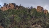 Randonnée Marche Bagnols-en-Forêt - Gorges du Blavet au col de la pierre du coucou - Photo 11