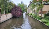 Randonnée Marche Bruges - Tour de Bruges 050924 - Photo 4