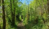 Tour Wandern La Tour-du-Meix - A la découverte du lac de Vouglans 🥾 - Photo 1