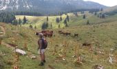Tour Wandern La Roche-sur-Foron - GLIERES / BORNES: LE CHESNET - SUR COU - COL DU FREU - Photo 8