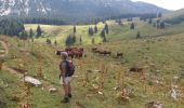 Trail Walking La Roche-sur-Foron - GLIERES / BORNES: LE CHESNET - SUR COU - COL DU FREU - Photo 8