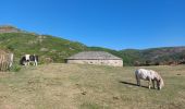 Randonnée Trail Ville-di-Pietrabugno - Cima di Gratera  - Photo 17