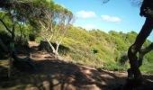 Trail Walking Ciutadella - cala pilar - Photo 2