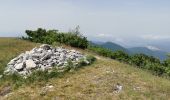 Trail Walking Omblèze - Le Plateau d'Ambel du Col de la Bataille - Photo 16