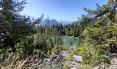 Tour Wandern Servoz - lac Vert,le chatelet,chalets de souay,Ayeres pierreries - Photo 16