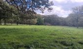 Trail Walking Sprimont - autour de dolembreux  - Photo 18