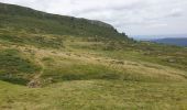 Randonnée Marche Albepierre-Bredons - Le Plomb du Cantal - Photo 3