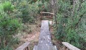 Tocht Stappen Martelange - Martelange, Radelange, Forêt d’Anlier - Photo 1