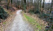 Randonnée A pied Inconnu - Rundwanderweg Heissiwald A2 - Photo 8