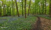 Tour Wandern Châtelet - Marche Adeps à Soleilmont - Photo 14