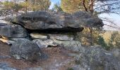 Trail Walking Noisy-sur-École - Canche aux Merciers 01-03-23 - Photo 4