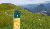 Tour Wandern Lus-la-Croix-Haute - Col de Chante - Jajere Lus la Croix Haute - Photo 7