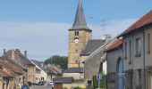 Tour Wandern Florenville - rando chameleux 19-05-2022 - Photo 9