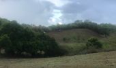 Trail Nordic walking Sainte-Anne - Modette la boucle - Photo 3
