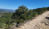Trail Mountain bike Saint-Maurice-d'Ardèche - saint Maurice d'Ardèche  - Photo 3