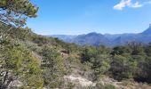 Excursión Senderismo Mirabel-et-Blacons - Mirabel et Balcons de la Drôme 16 km - Photo 4