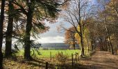 Randonnée A pied Malmedy - Malmedy Yellow Cross - Photo 10