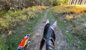 Trail Horseback riding Habay - Marbehan 9 octobre 2022e - Photo 3