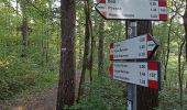 Trail On foot Camugnano - Alta Via dei Parchi: Tappa 11 - Photo 3