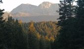 Randonnée Marche Chamrousse - lac affray - Photo 2