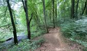 Tour Wandern Esch an der Alzette - Terres Rouges Esch Ellergron 18 km - Photo 12
