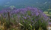 Tour Wandern Saint-Auban - Les Lattes - Chauvet - Pensiers Occidental et Oriental - Photo 1