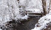 Tocht Stappen Büllingen - La vallée perdue - Rocherath  - Photo 2