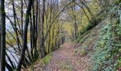 Trail Walking Rendeux - Rendeux - Photo 7