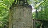 Randonnée Marche Reugny - Découverte de la commune de Reugny - Photo 9