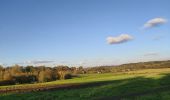 Tocht Noords wandelen Chaumont-Gistoux - dion grez pigeon - Photo 3