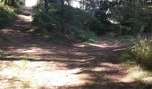 Tocht Noords wandelen Beynat - lac des miel - Roche de vic - Photo 1