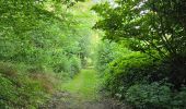 Trail Walking Nogent-le-Bernard - Nogent-le-Bernard - Menhir de Courtevrais - Photo 2