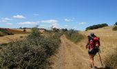 Trail On foot Vinhais - A Caminho da Ciradelha - Photo 6