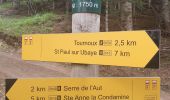 Trail Walking Saint-Paul-sur-Ubaye - rando serre de l aut 6/07/2021 - Photo 9