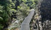 Randonnée Marche Thuès-Entre-Valls - gorge de la Carança  - Photo 19