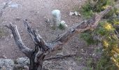 Trail Walking Quinson - verdon basse gorge via ravin ste marguerite et chapelle ste marguerite  - Photo 16