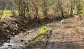 Trail Walking Neufchâteau - Hamipré Bois d’Ospau - Photo 1