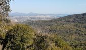 Percorso Marcia Roquebrune-sur-Argens - ROQUEBRUNE SUR ARGENS - A L'OUEST DE LA FLUTE - Photo 5