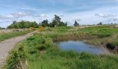 Trail Walking Spa - Bérinzenne entre fagne et forêt  - Photo 19