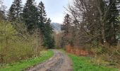 Trail Walking Saint-Sauves-d'Auvergne - Chalannes-stéle-charbonniere - Photo 10
