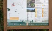 Trail Walking São Roque do Faial - PR11 Madère  - Photo 3