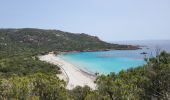 Trail Walking Sartène - Plages de Roccapina et d'Erbaju - Photo 4