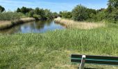 Trail Walking Kapelle - Wemeldinge Goes boucle 16,9 km - Photo 8