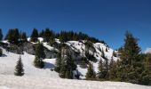 Excursión Senderismo Arâches-la-Frasse - Les Carroz l'Arbaron en boucle - Photo 18