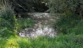 Randonnée Marche Corsaint - circuit Turley par forêt et prairie et ruisseau  - Photo 8