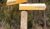 Trail On foot Saint-Raphaël - 2 pics et 3 cols depuis le parking d' Antheor - Photo 9
