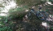 Trail Mountain bike Virton - Lahage II - Balade_VTT_33Kms - Photo 15