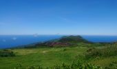 Randonnée Marche Cedros -  caldeira Faial - Photo 13