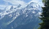 Tour Wandern Saint-Gervais-les-Bains - LE PRARION  - Photo 3