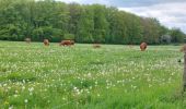 Excursión Senderismo Anhée - Warnant Adèle et Christophe 05-05-2024 - Photo 15